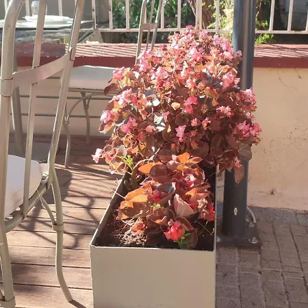 Apartamento Casa Centro *